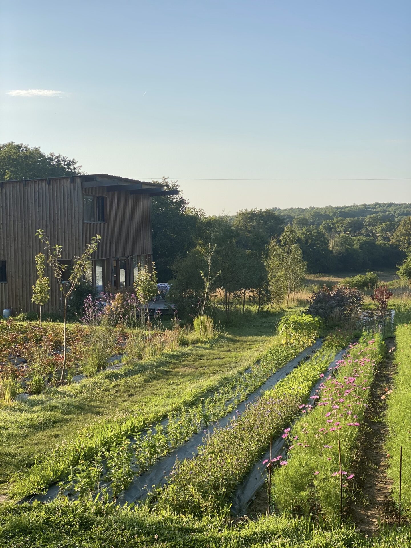 Chez Les Herbes Hautes, nous nous définissons comme un atelier floral éco-sensible, profondément attaché aux ambiances sauvages et aux esthétiques modernes.