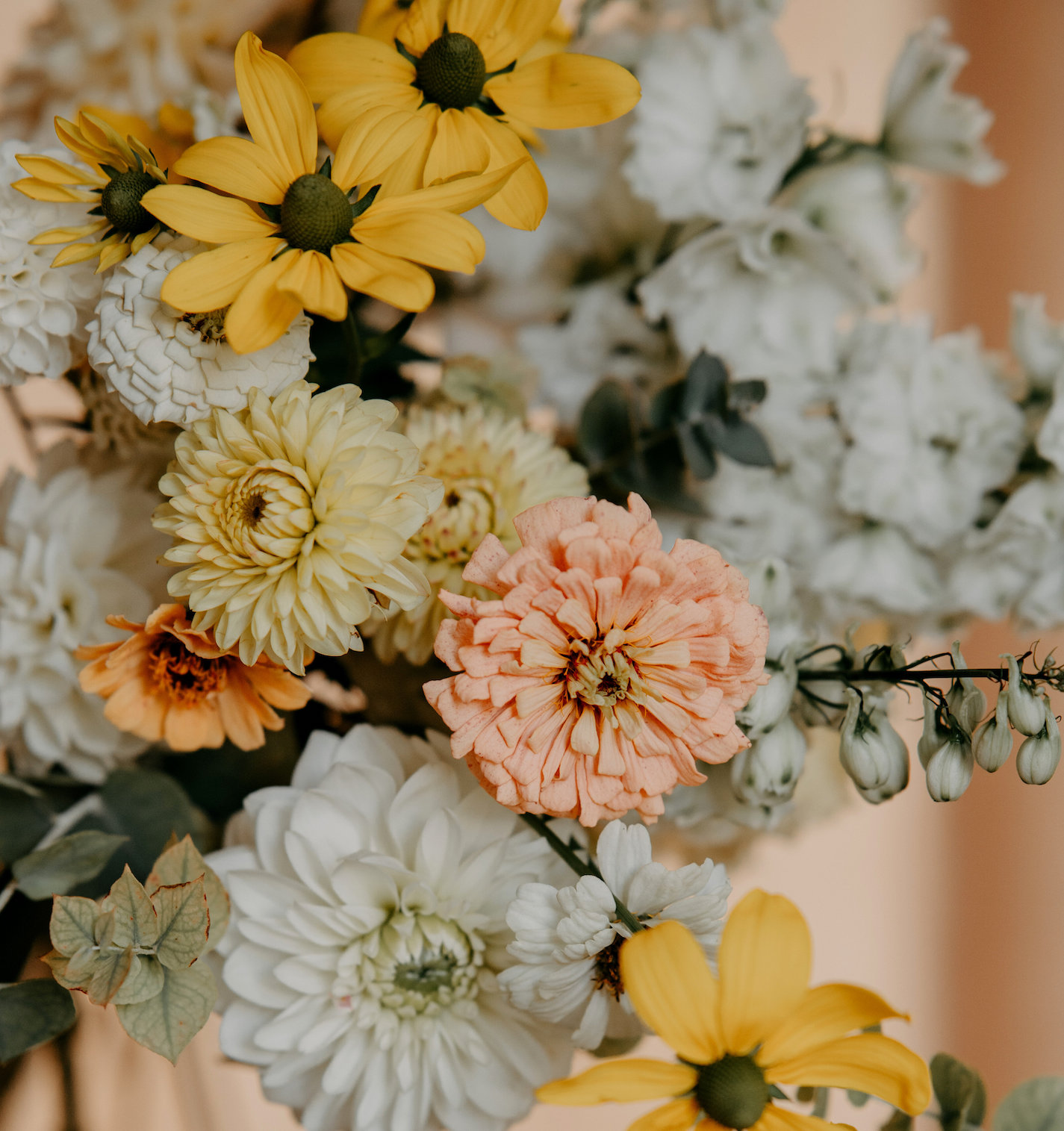 Fleurs d'automne Les herbes hautes